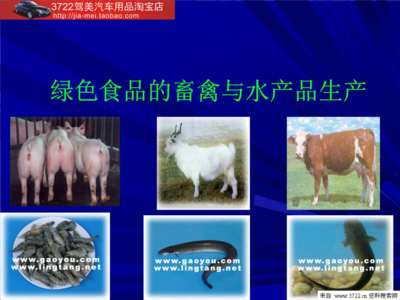 綠色食品的畜禽與水產(chǎn)品生產(chǎn)