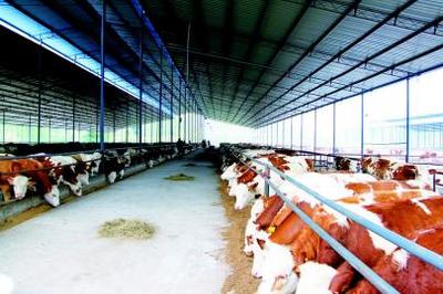 畜禽廢棄物再利用 宣漢開(kāi)辟綠色發(fā)展之路